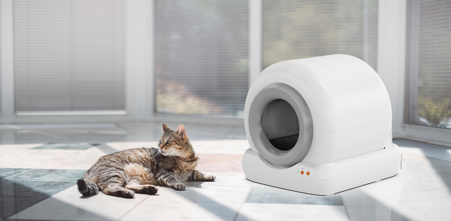 Công ty TNHH Sản phẩm thú cưng Ninh Ba Meace