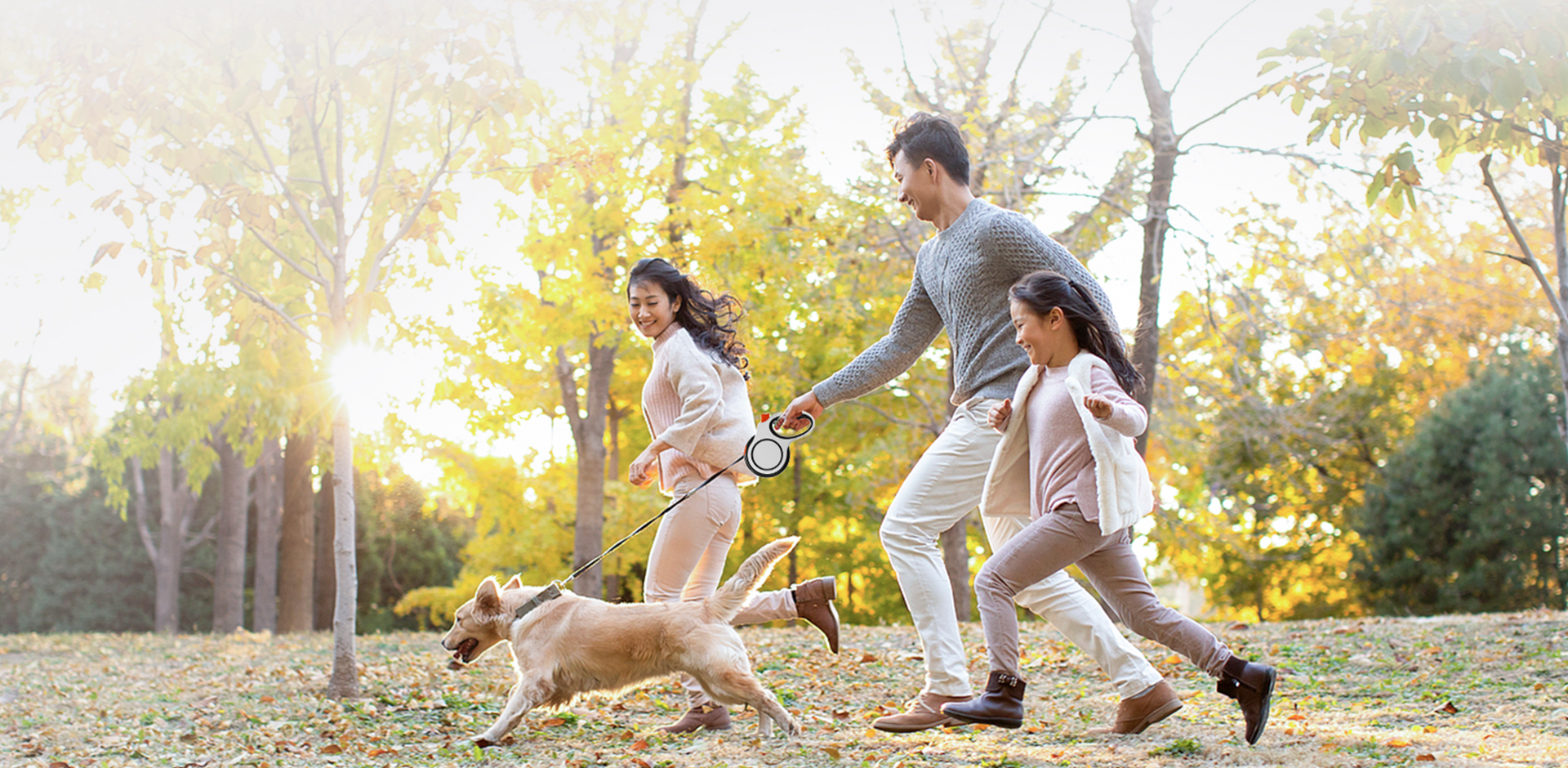 Công ty TNHH Sản phẩm thú cưng Ninh Ba Meace